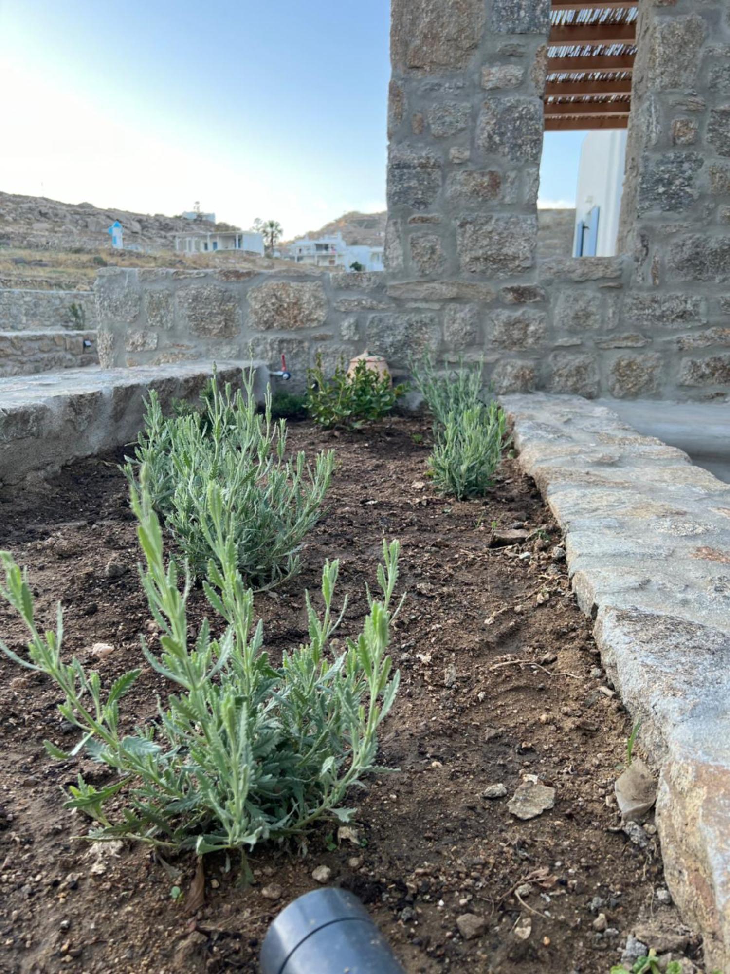 Miamis Villas Mykonos II Mykonos Town Екстер'єр фото